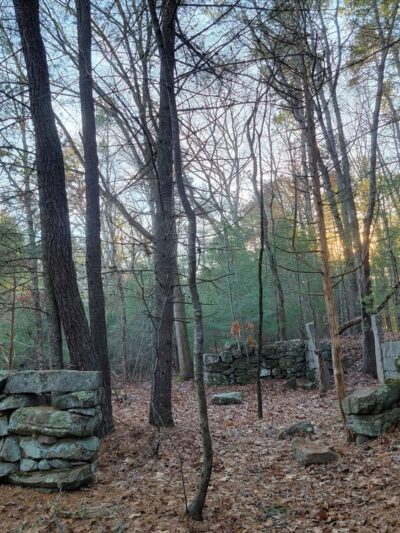Black Farm State Management Area - Hope Valley, RI