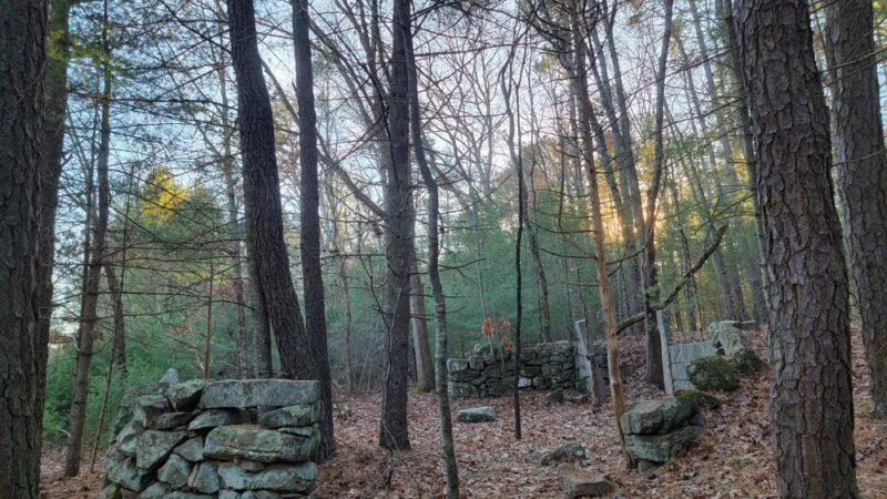 Black Farm State Management Area - Hope Valley, RI