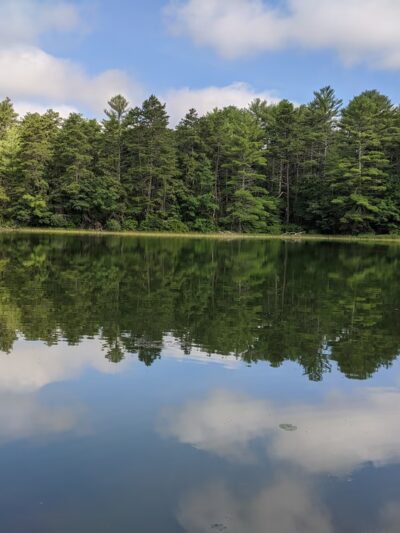 Black Farm State Management Area - Hope Valley, RI