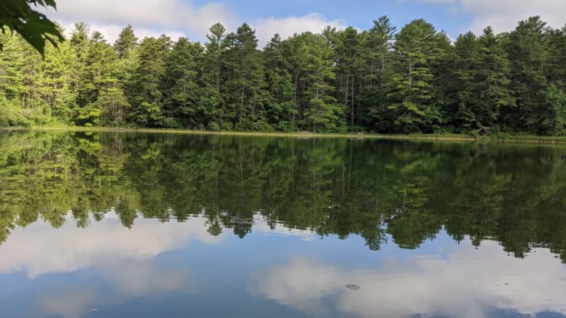 Black Farm State Management Area - Hope Valley, RI