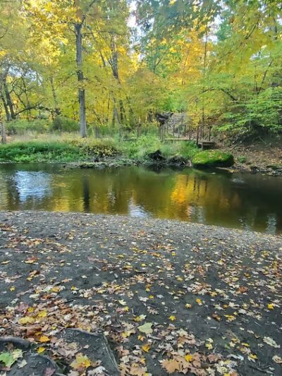 Forest Beach at Hopewell Rec - Hopewell Junction, NY
