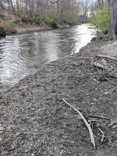 Forest Beach at Hopewell Rec - Hopewell Junction, NY
