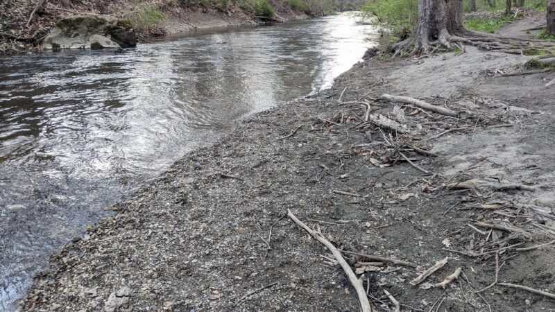 Forest Beach at Hopewell Rec - Hopewell Junction, NY