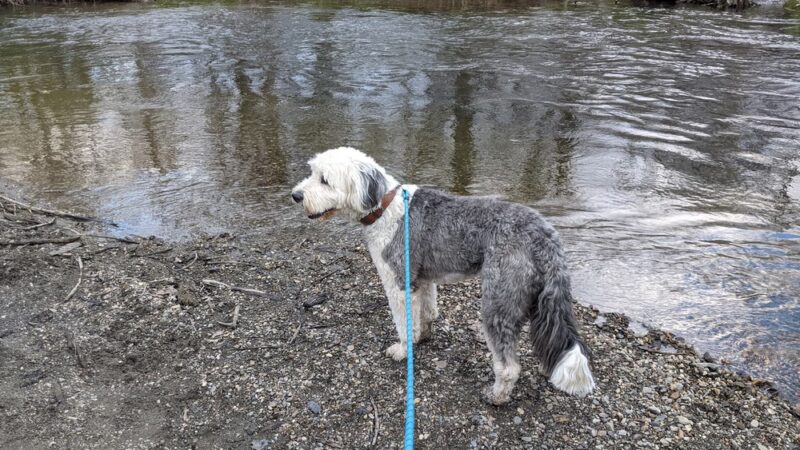 Forest Beach at Hopewell Rec - Hopewell Junction, NY
