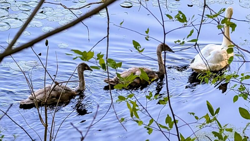 Rail Trail - Hopewell Depot Parking - Hopewell Junction, NY