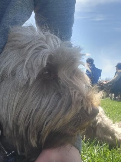 Town Center Park - Hopewell Junction, NY