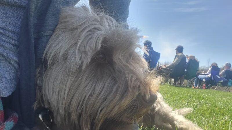 Town Center Park - Hopewell Junction, NY