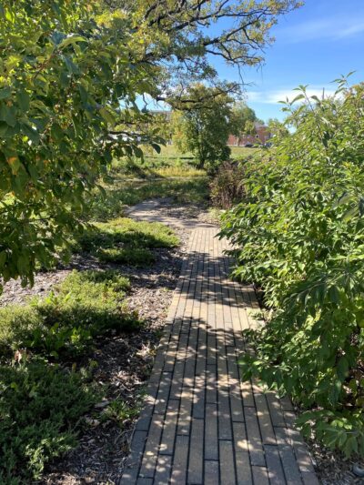 Cottageville Park - Hopkins, MN