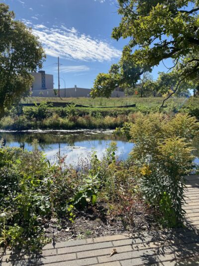 Cottageville Park - Hopkins, MN