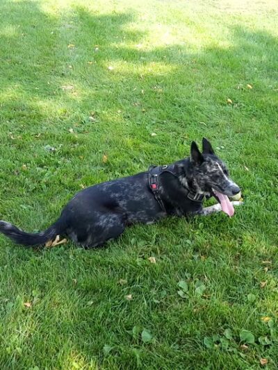 Valley Park - Hopkins, MN