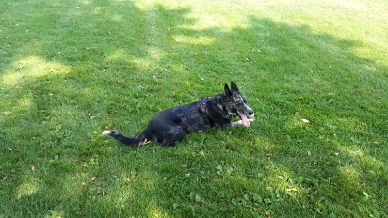 Valley Park - Hopkins, MN