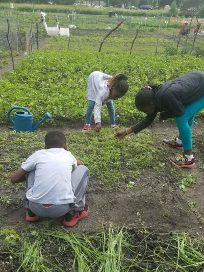 Valley Park - Hopkins, MN