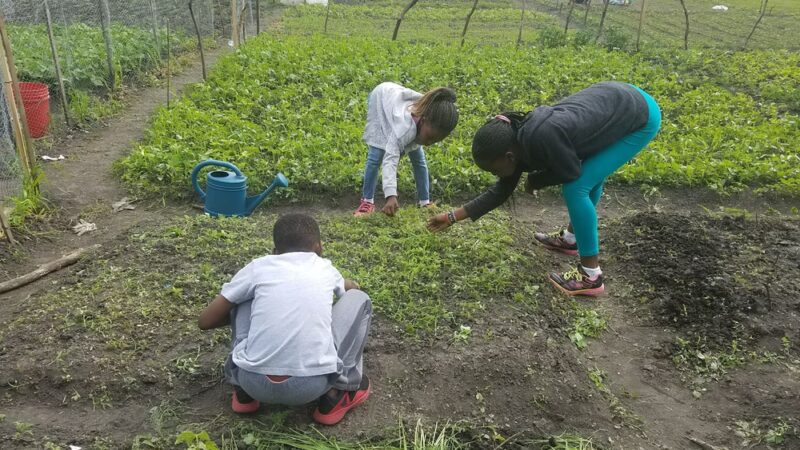 Valley Park - Hopkins, MN