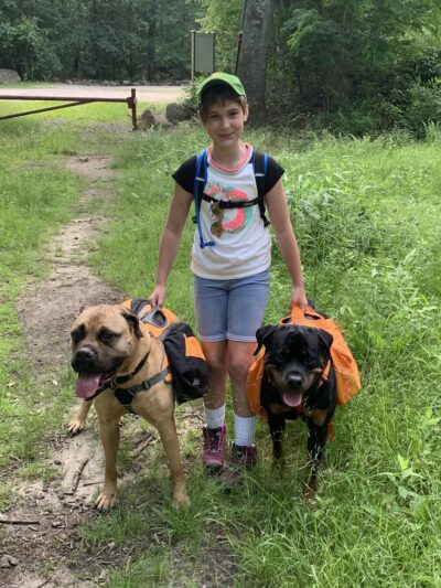 Canine Behavioral Services Inc. - Hopkinton, RI