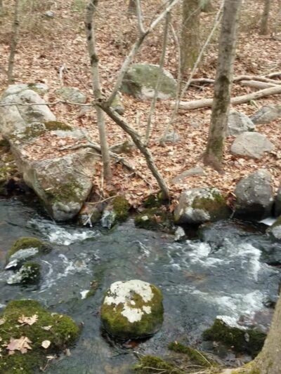 Canonchet Brook Preserve - Hopkinton, RI