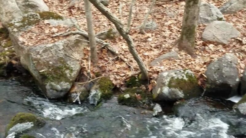 Canonchet Brook Preserve - Hopkinton, RI