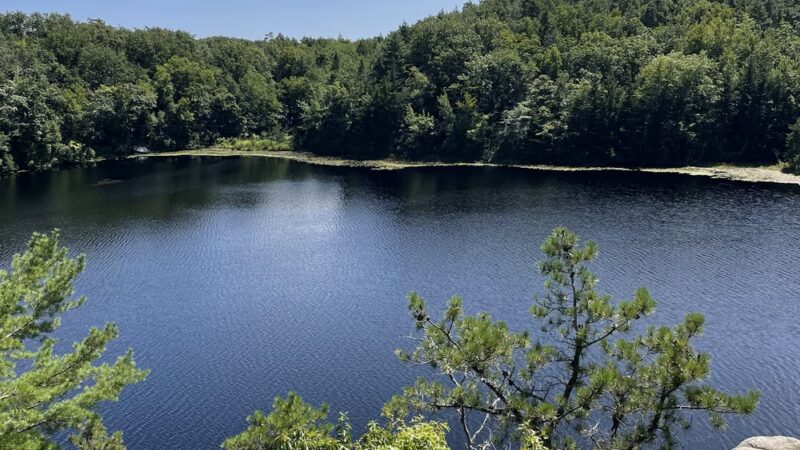 Long Pond Woods Wildlife Refuge - Hopkinton, RI