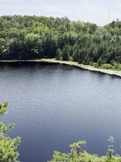 Long Pond Woods Wildlife Refuge - Hopkinton, RI