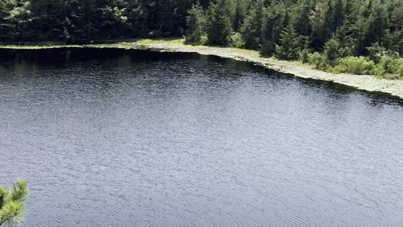 Long Pond Woods Wildlife Refuge - Hopkinton, RI
