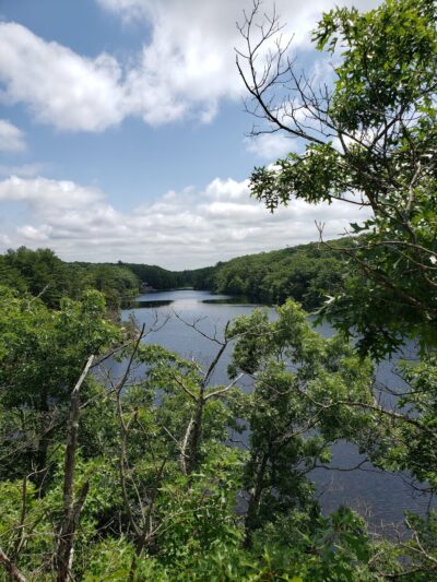 Long Pond Woods Wildlife Refuge - Hopkinton, RI