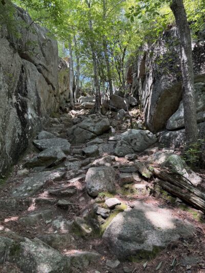 Long Pond Woods Wildlife Refuge - Hopkinton, RI