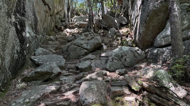 Long Pond Woods Wildlife Refuge - Hopkinton, RI