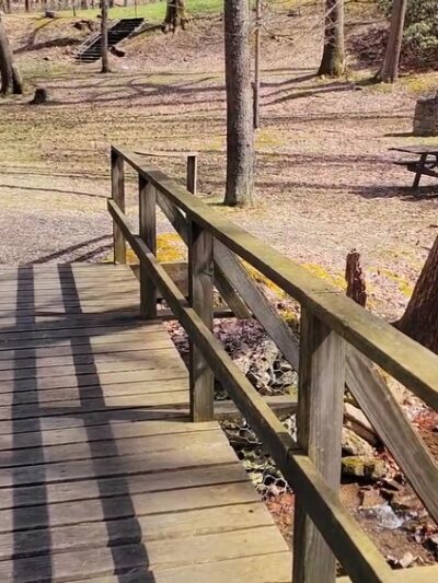 Lick Hollow State Forest Picnic Area - Hopwood, PA