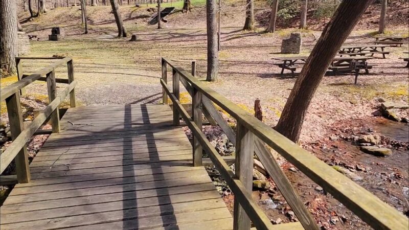 Lick Hollow State Forest Picnic Area - Hopwood, PA