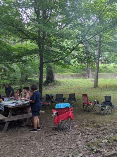 Lick Hollow State Forest Picnic Area - Hopwood, PA