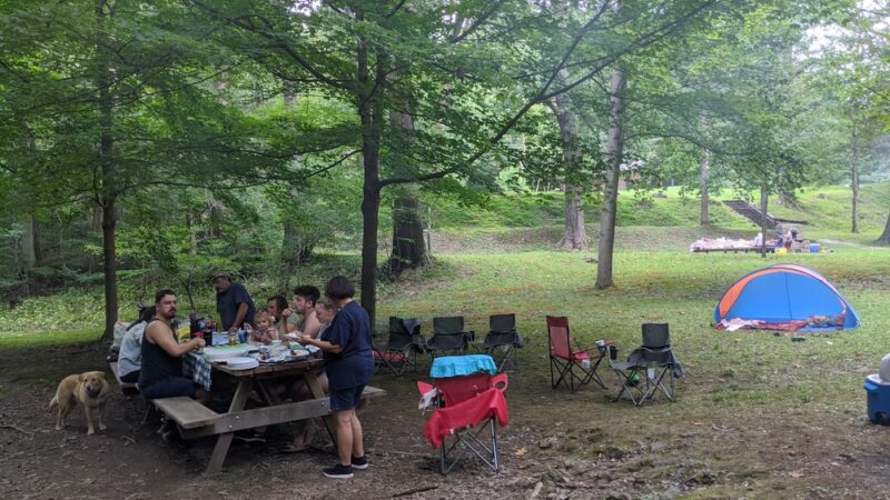 Lick Hollow State Forest Picnic Area - Hopwood, PA