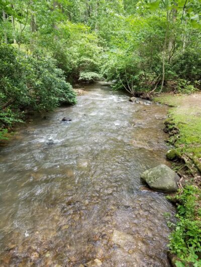 Lick Hollow State Forest Picnic Area - Hopwood, PA