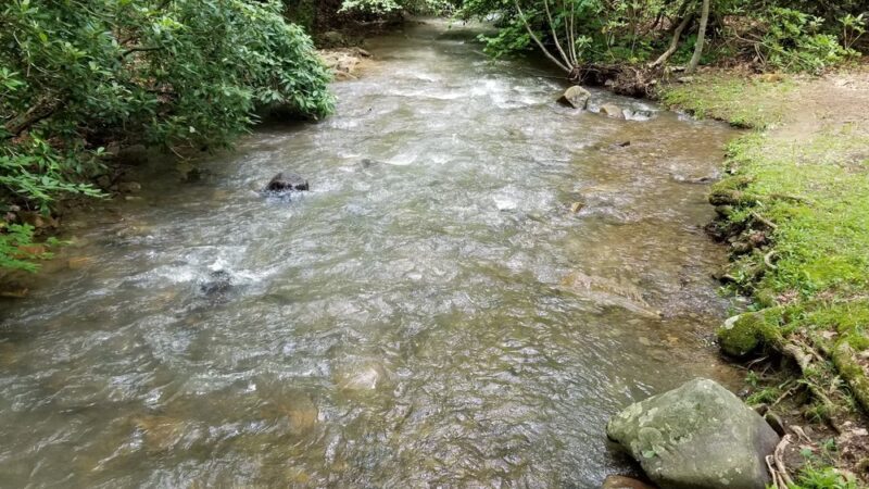Lick Hollow State Forest Picnic Area - Hopwood, PA