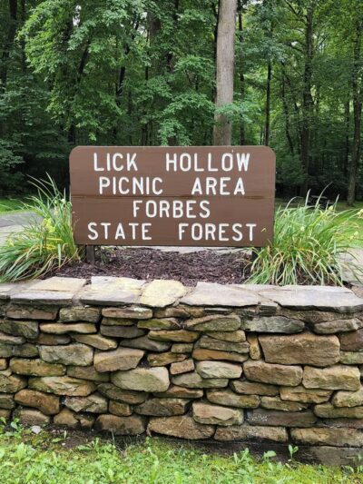 Lick Hollow State Forest Picnic Area - Hopwood, PA