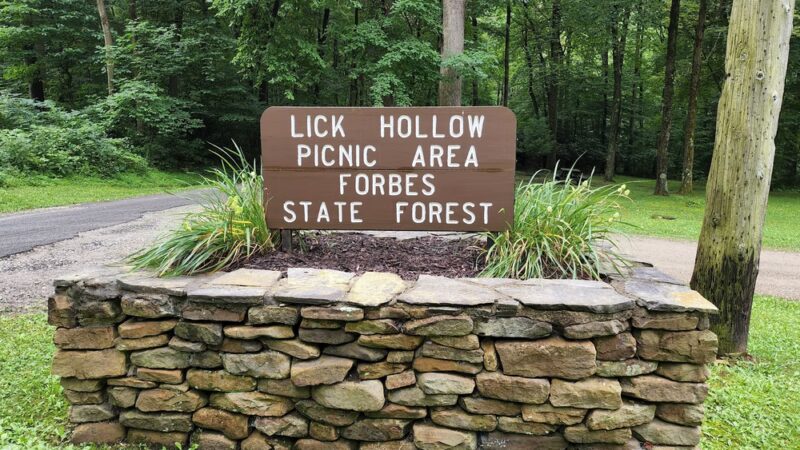 Lick Hollow State Forest Picnic Area - Hopwood, PA