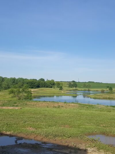 Wisconsin Amateur Field Trial Club - Horicon, WI