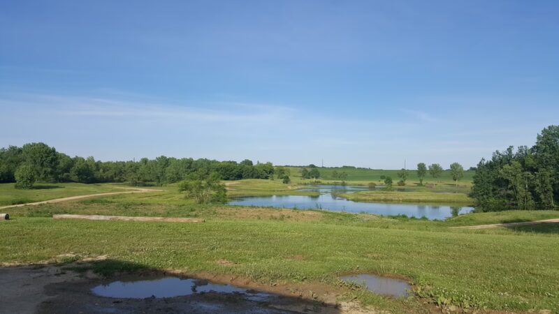 Wisconsin Amateur Field Trial Club - Horicon, WI
