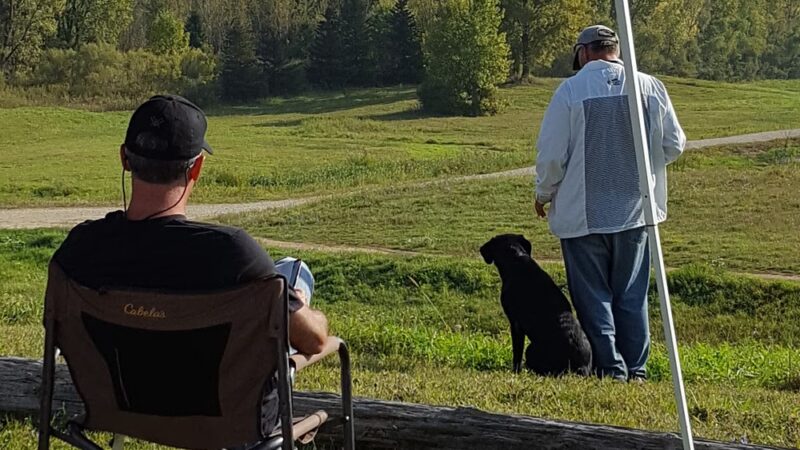 Wisconsin Amateur Field Trial Club - Horicon, WI