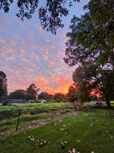 Wooten Park - Horn Lake, MS