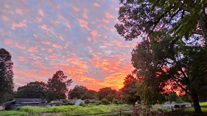 Wooten Park - Horn Lake, MS