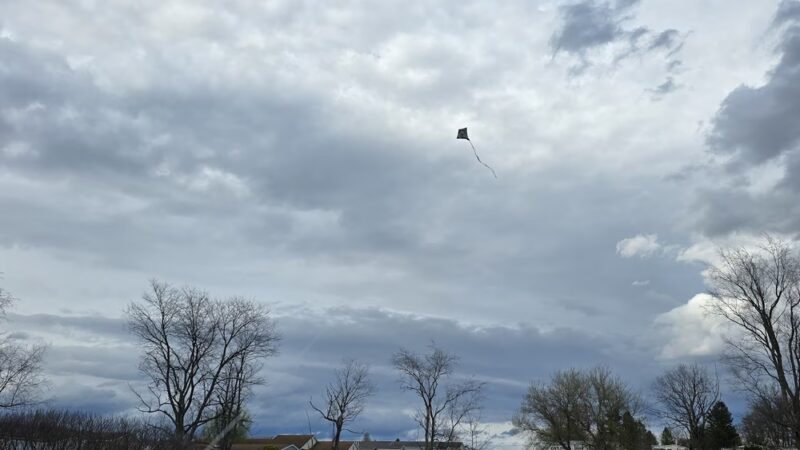 Pine Circle Park - Horseheads, NY