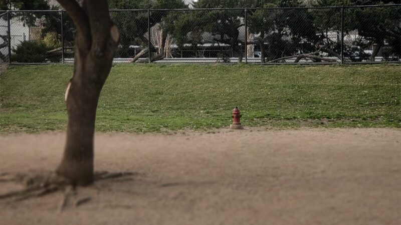 Bark Park - Houston, TX