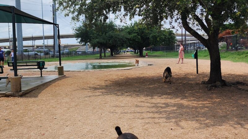 Bark Park - Houston, TX