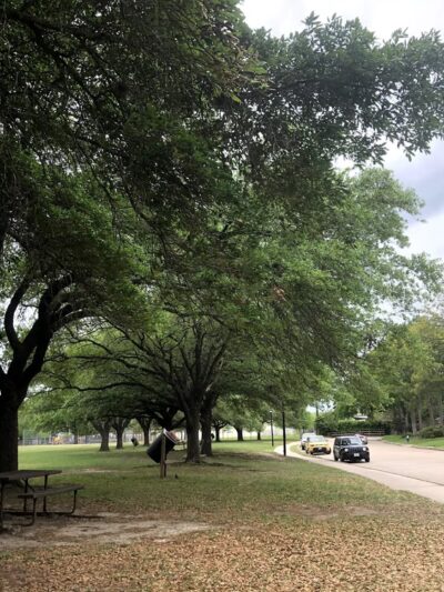 Bendwood Park - Houston, TX