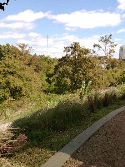 Buffalo Bayou Park - Houston, TX