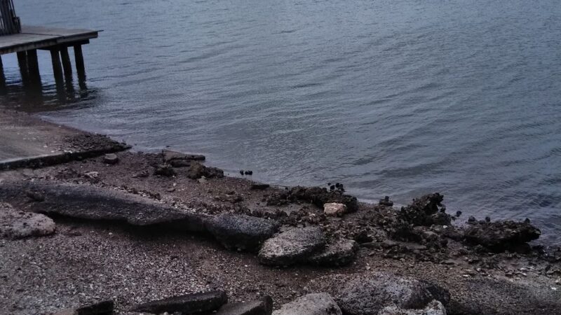 Calloway Park - Houston, TX