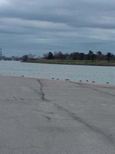 Calloway Park - Houston, TX