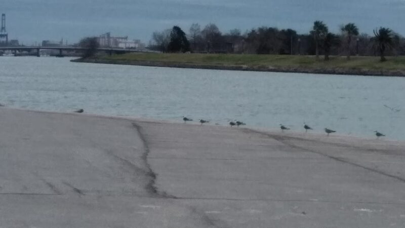 Calloway Park - Houston, TX