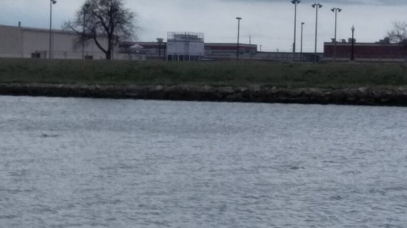 Calloway Park - Houston, TX