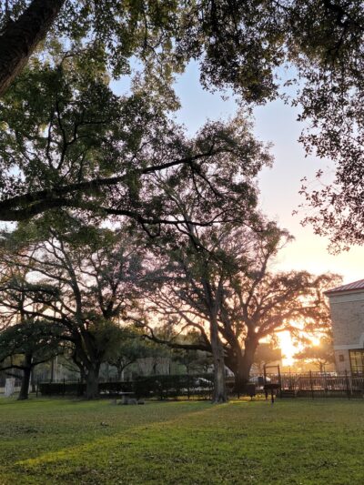 Carolyn H. Wolff Park - Houston, TX