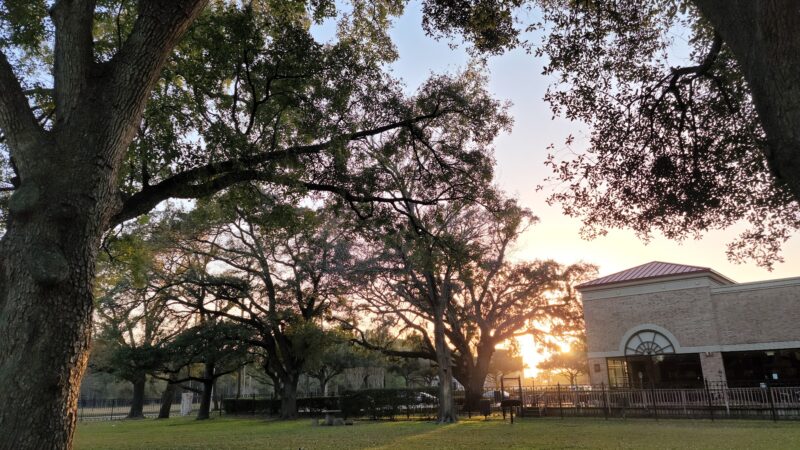 Carolyn H. Wolff Park - Houston, TX